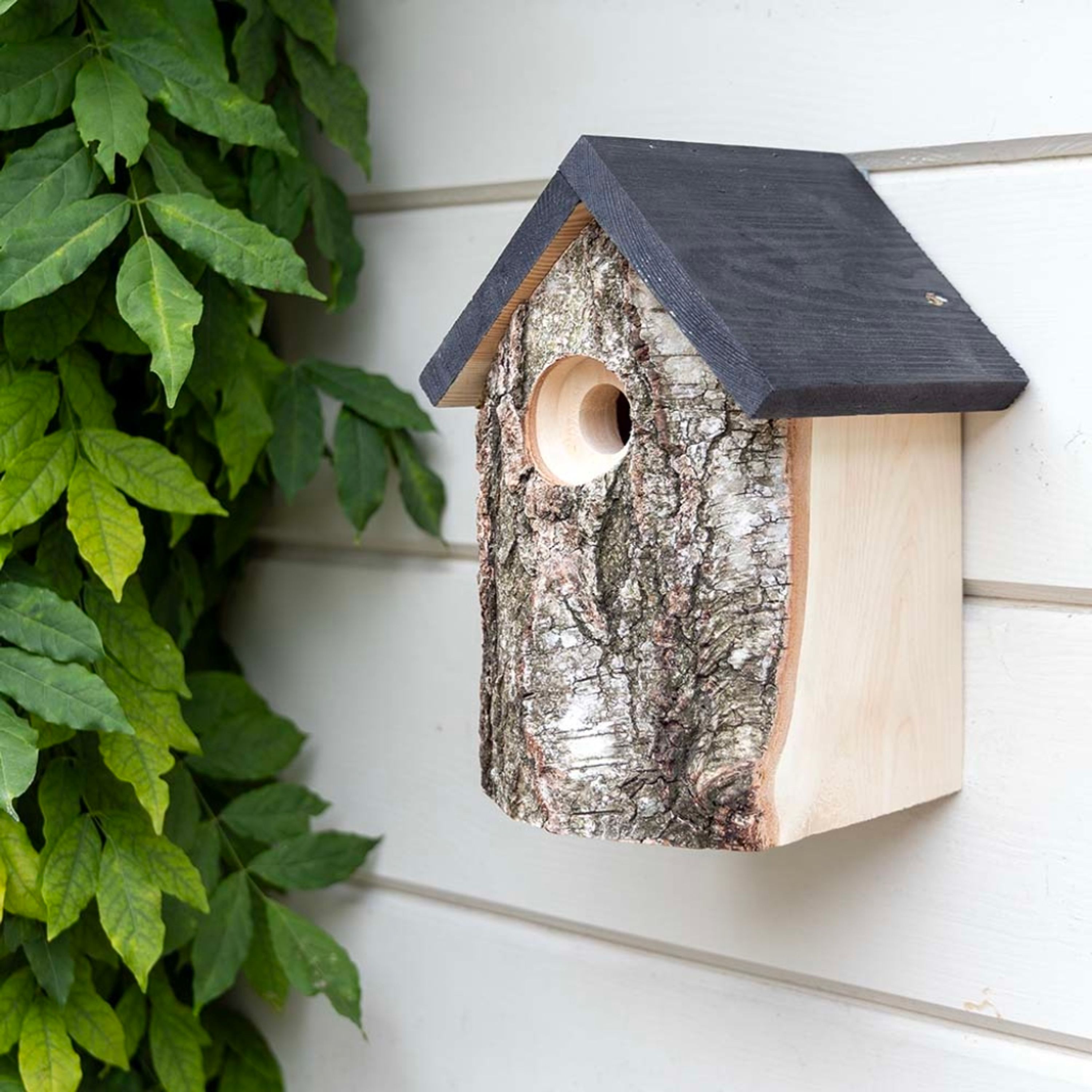 Birken-Nistkasten „Kingston“ 28 mm | Vogelhaus Birkenholz | CJ Wildlife